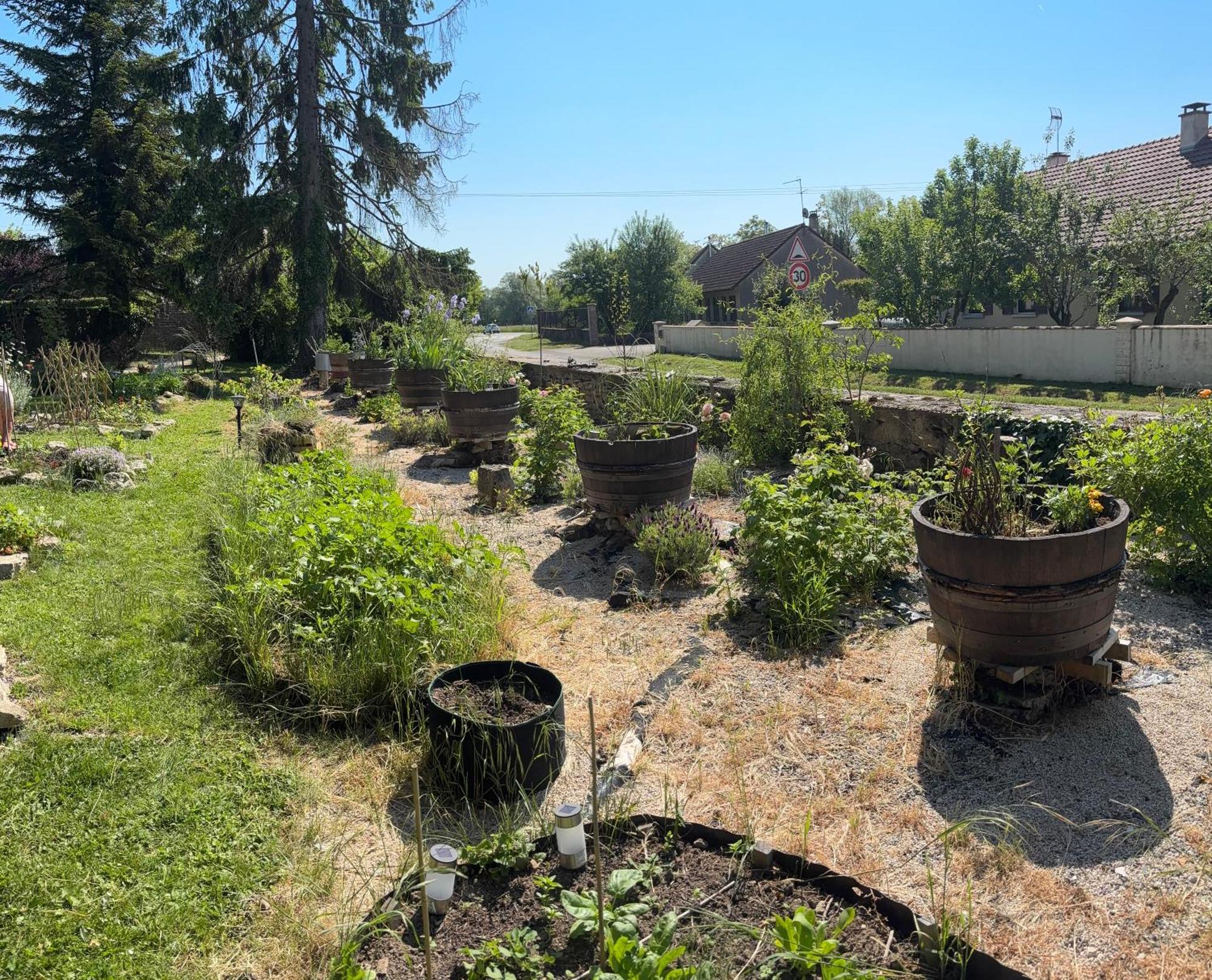Le Cedre Bleu - Bed & Breakfast *