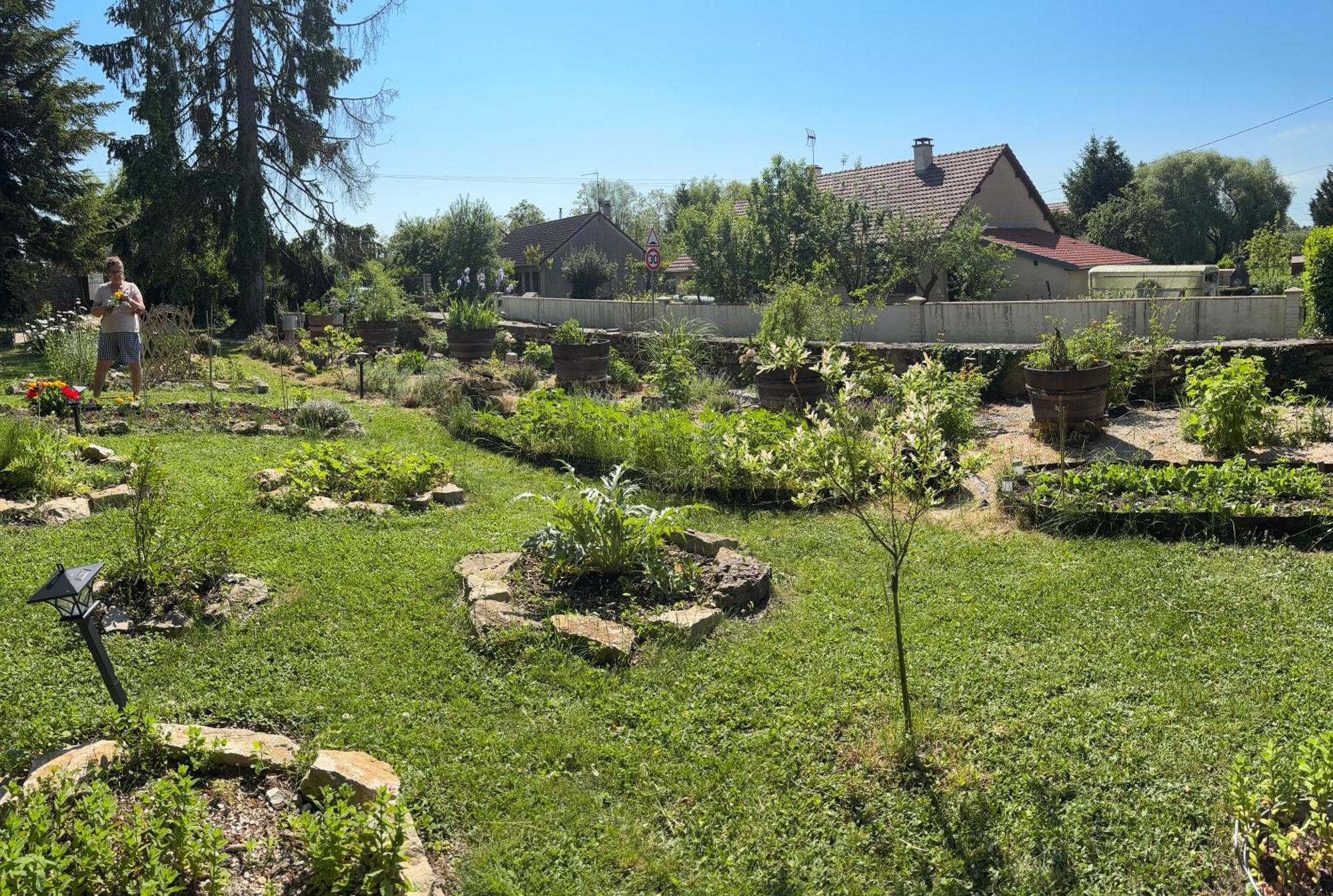 Bed & Breakfast Le Cedre Bleu - Chatenois (Jura)